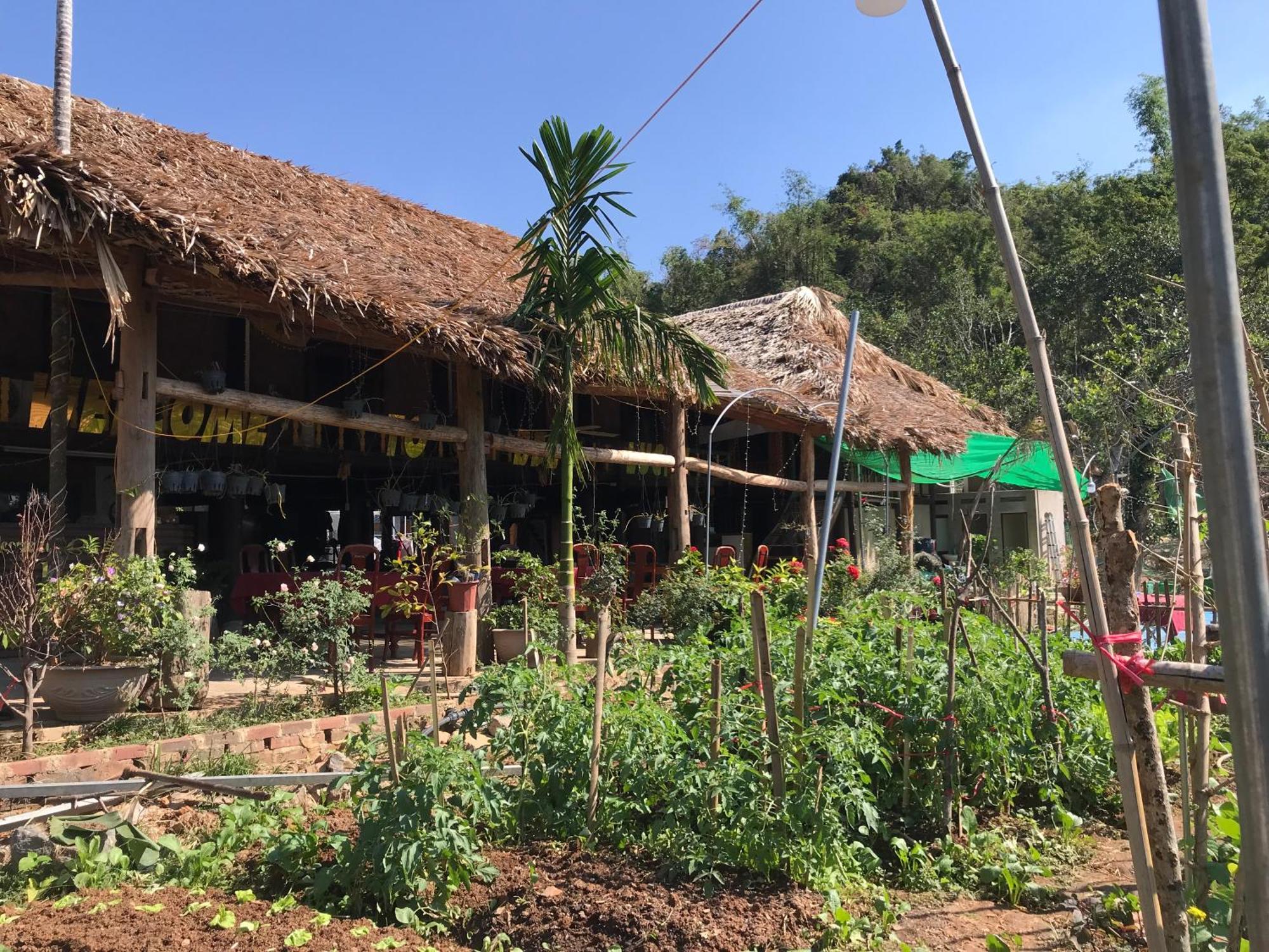 Bee Lucky Homestay Hien Hao Екстер'єр фото