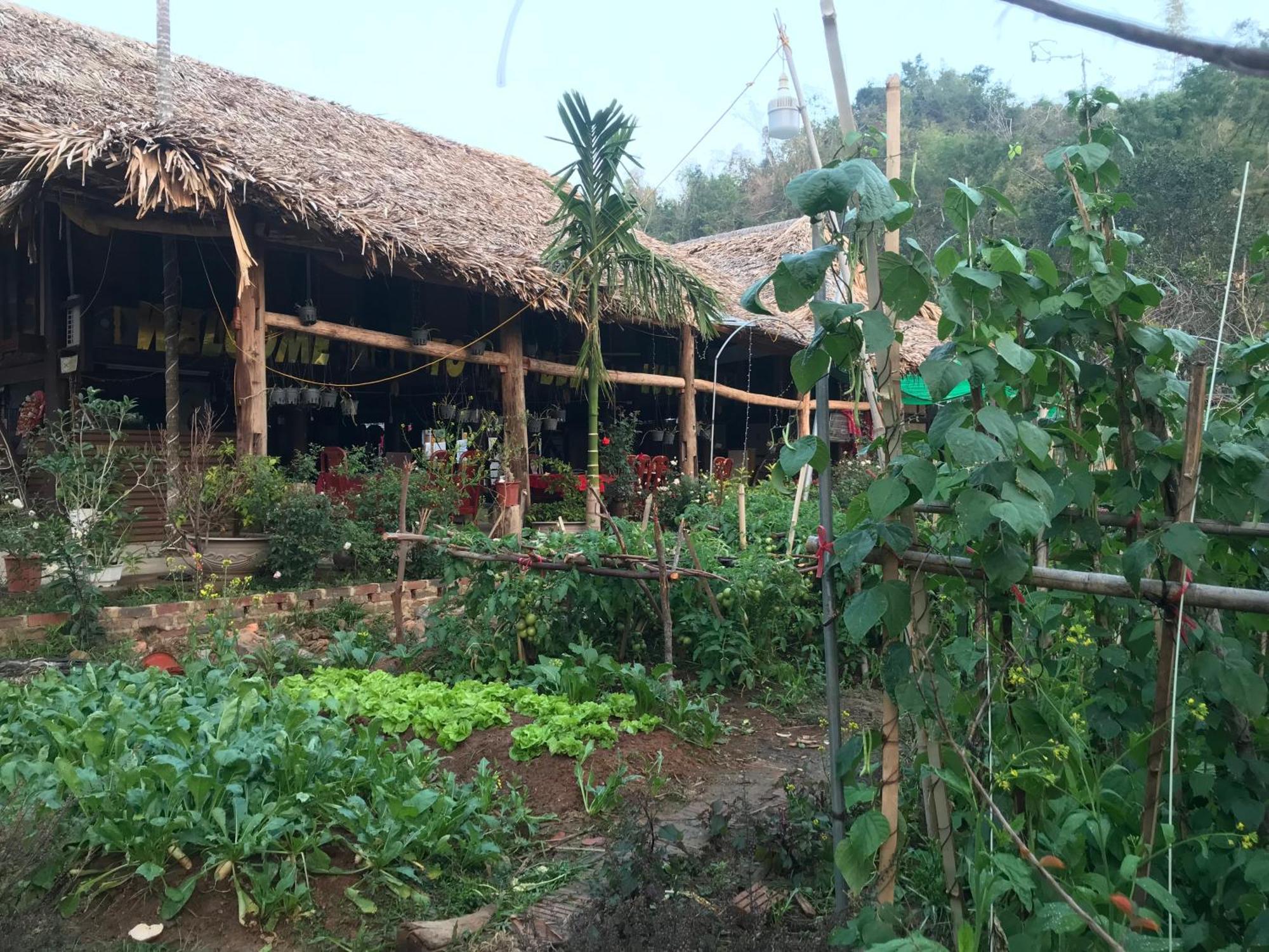 Bee Lucky Homestay Hien Hao Екстер'єр фото