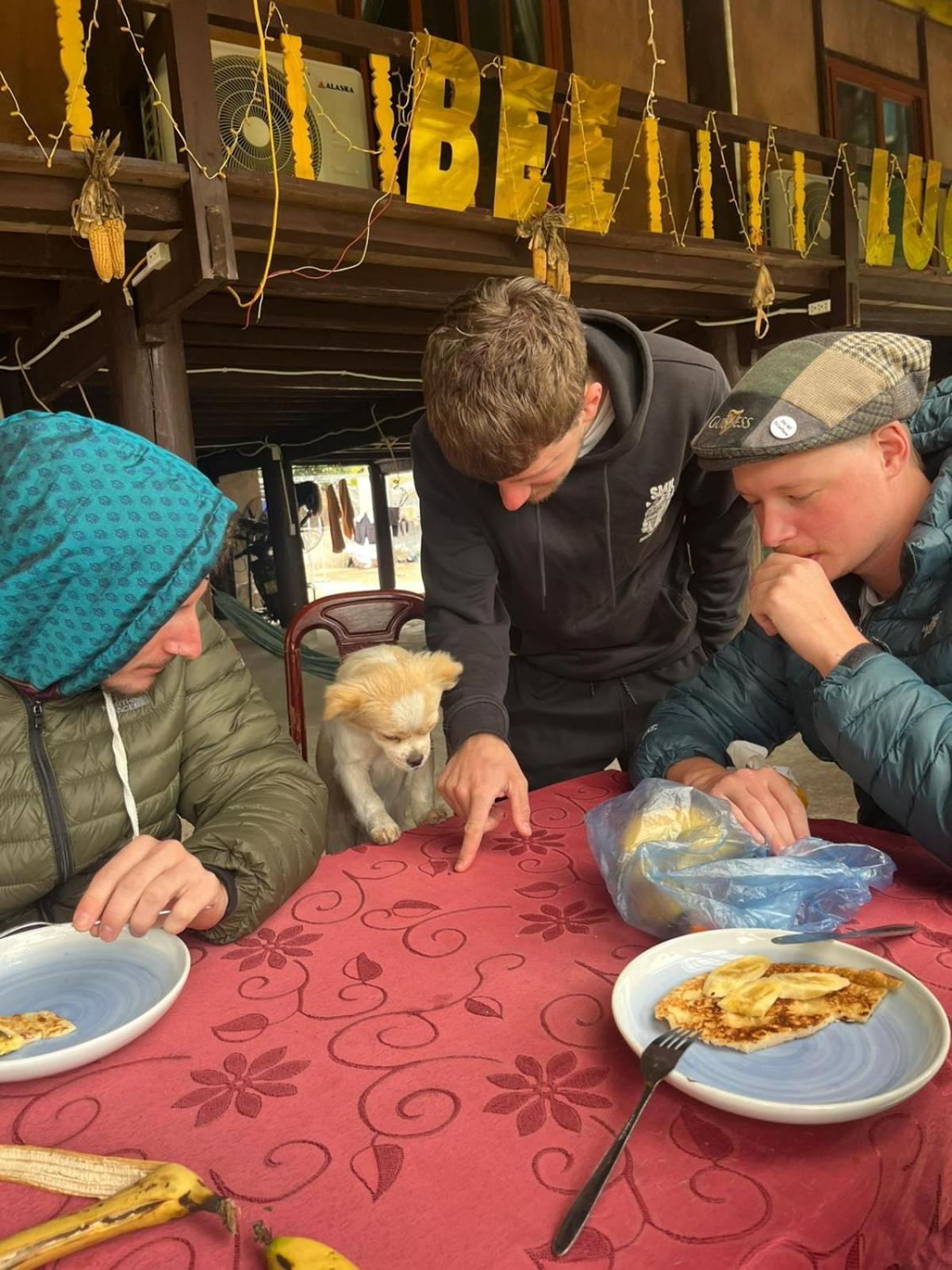Bee Lucky Homestay Hien Hao Екстер'єр фото
